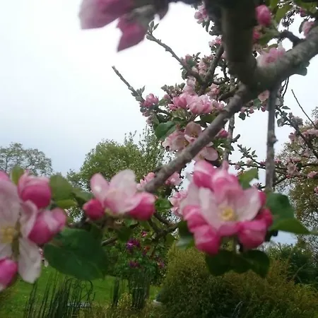 La Buhennerie Casa vacanze *