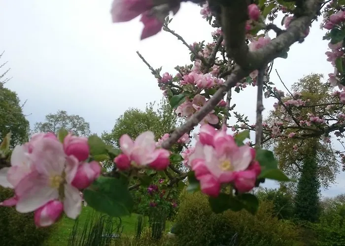 La Buhennerie Casa vacanze *